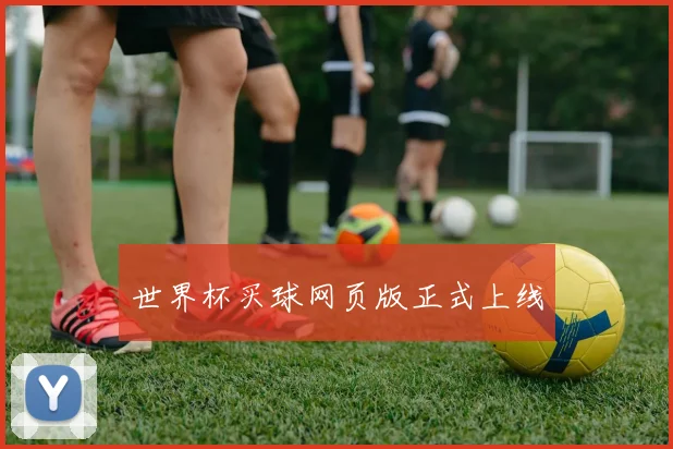世界杯买球网页版正式上线