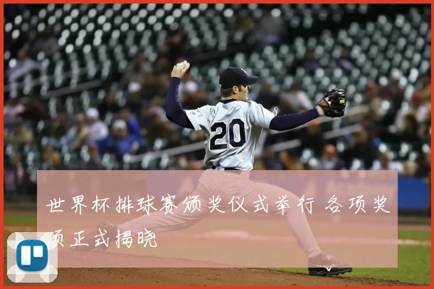 世界杯排球赛颁奖仪式举行 各项奖项正式揭晓
