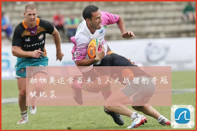 动物奥运会百米飞人大战猎豹夺冠破纪录