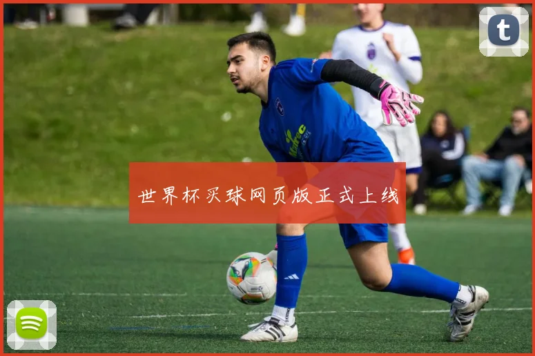 世界杯买球网页版正式上线