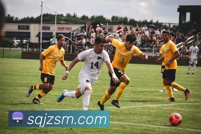 星空app登录入口 - 星空(中国)APP 封面图